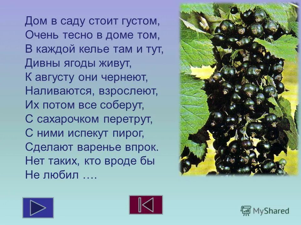 Дом и его части задания. Мой дом стоит в густом. Загадки про помдля детей. Мой дом стоит в густом. Рассказ паустовского мой дом.
