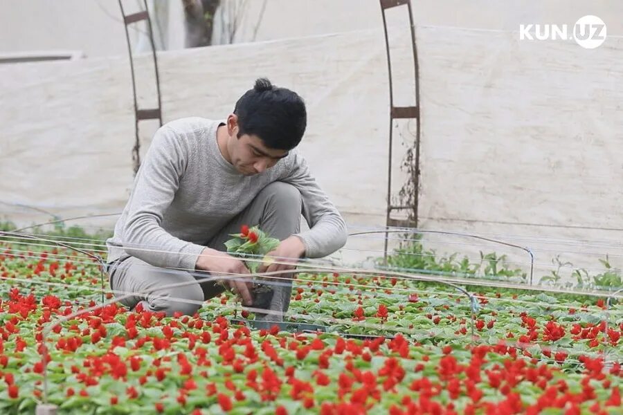 Армонимсан мухаббат. Ишон. Афоризм расмлари. Нигора исмаилова ташкент. Статус шерлар.