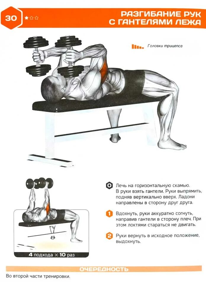 Трицепс гантелями лежа. Французский жим лёжа с гантелями техника выполнения. Французский жим гантелей лежа. Французский жим гантели лежа. Французский жим лежа с гантелямм.