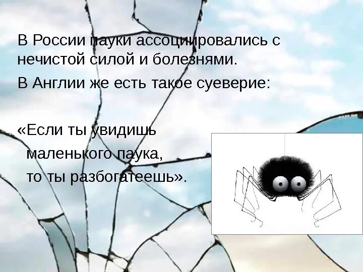 Паук увидеть дома примета к чему. Паук примета. пауки суеверия. приметы про пауков. приметы паукообразных.