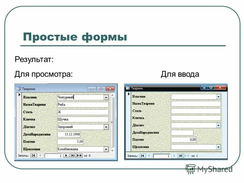 Форма для ввода данных в access. Простая форма для ввода. Создание формы для ввода данных в access. Простая форма в access.