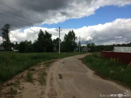 Погода в новинках