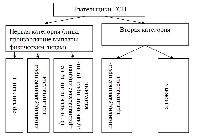 Плательщиками страховых взносов являются. Виды страховых взносов. Социальные плательщики. Плательщиками страховых взносов являются. Социальные плательщики.