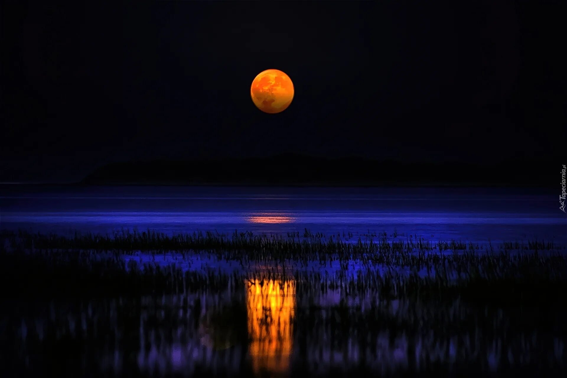 Светит холодная луна. Луна вечером. Ночь Луна. Отражение Луны. Полнолуние.