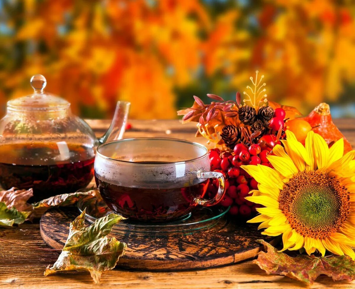 Осень красивое утро картинки. Осенний чай. Осень чай. Утро осень. Осеннее чаепитие.