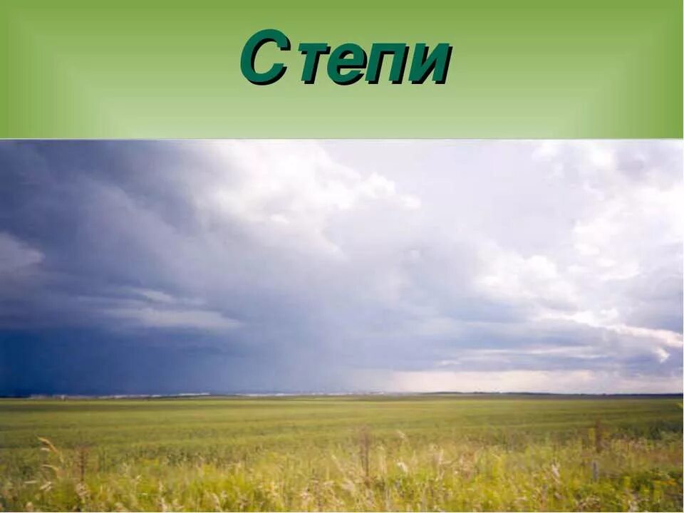 Степи презентация 7 класс. Степь слайд. Что такое степь 4 класс. Слайды на тему степь. Степь надпись.