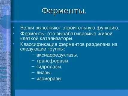 Какие белки относятся к ферментативной функции