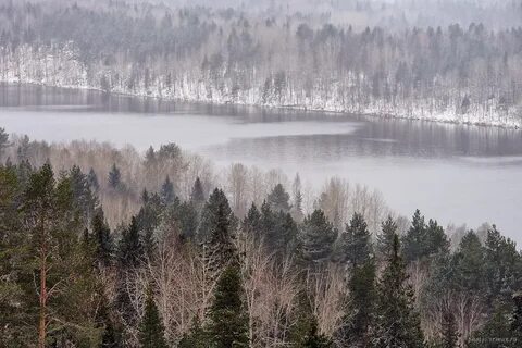 Ялгуба