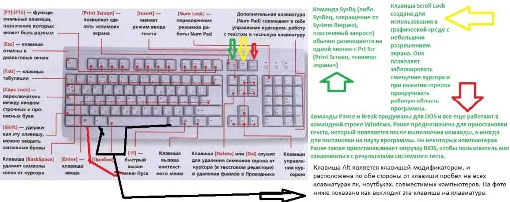 Какими клавишами можно заблокировать компьютер. Сочетание клавиш fn на ноутбуке. обозначение кнопок на клавиатуре компьютера. назначение кнопок на клавиатуре ноутбука.