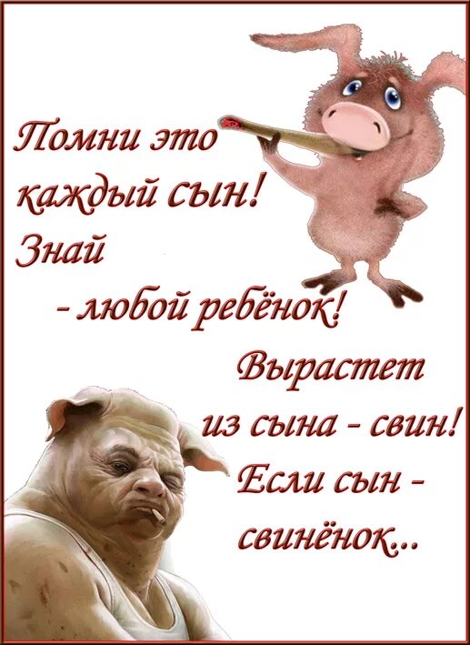 стих свин. вырастет из сына свин. смешные шутки про свиней. стихотворение что такое хорошо. стих про pig.