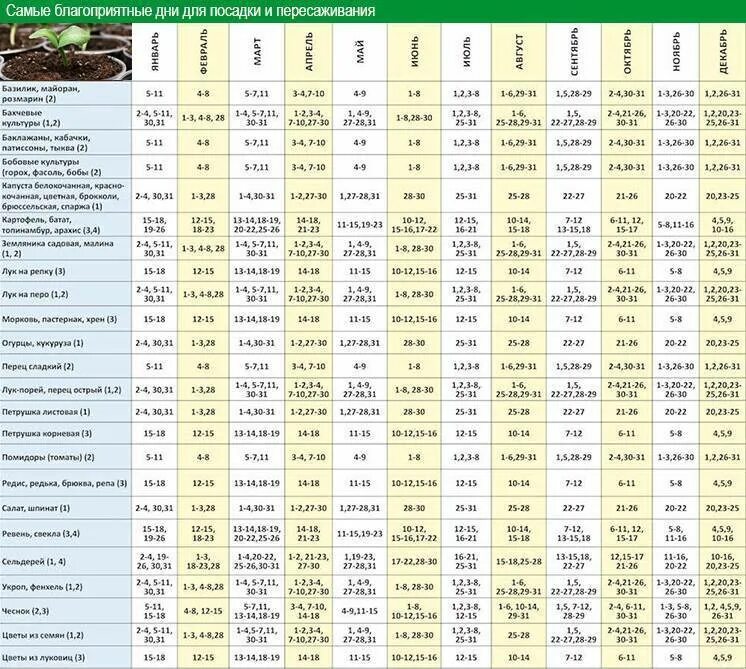 Благоприятные дни для посева помидор в марте 2022. Благоприятные дни для посадки томатов в марте 2022 года. Благоприятные дни для пересадки рассады томатов и перцев в марте. Благоприятные дни для посадки томатов. Лунный календарь высадки томатов