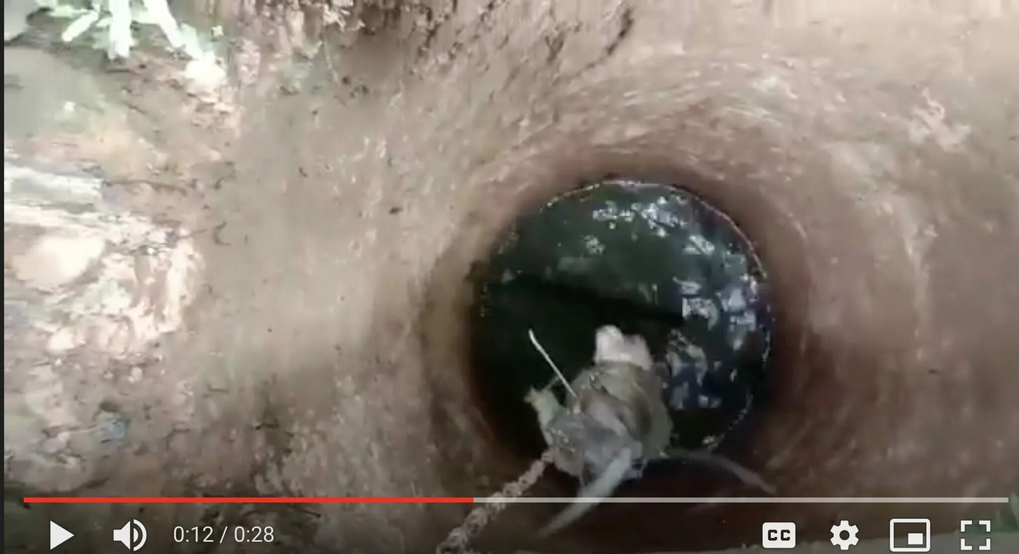 Monkey hate telegram. Джастин бибер хейт. Monkey hate telegram. Monkey hate telegram. Monkey hate telegram.