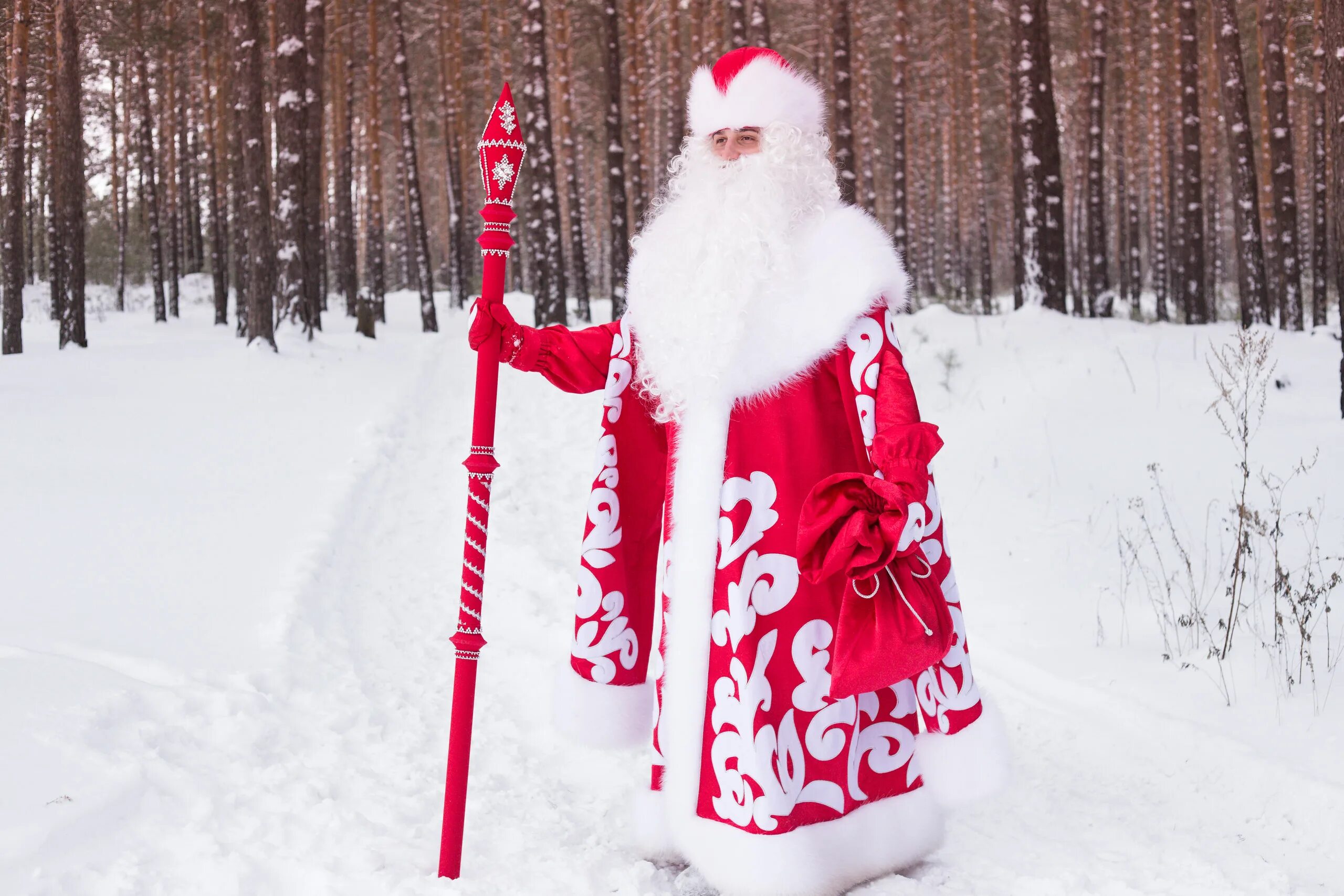 Красивые дед мороз. Дед Мороз. Посох Деда Мороза. Образ Деда Мороза. Русский дед Мороз.