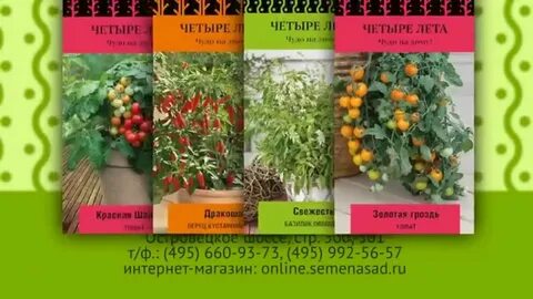 Все четыре лета