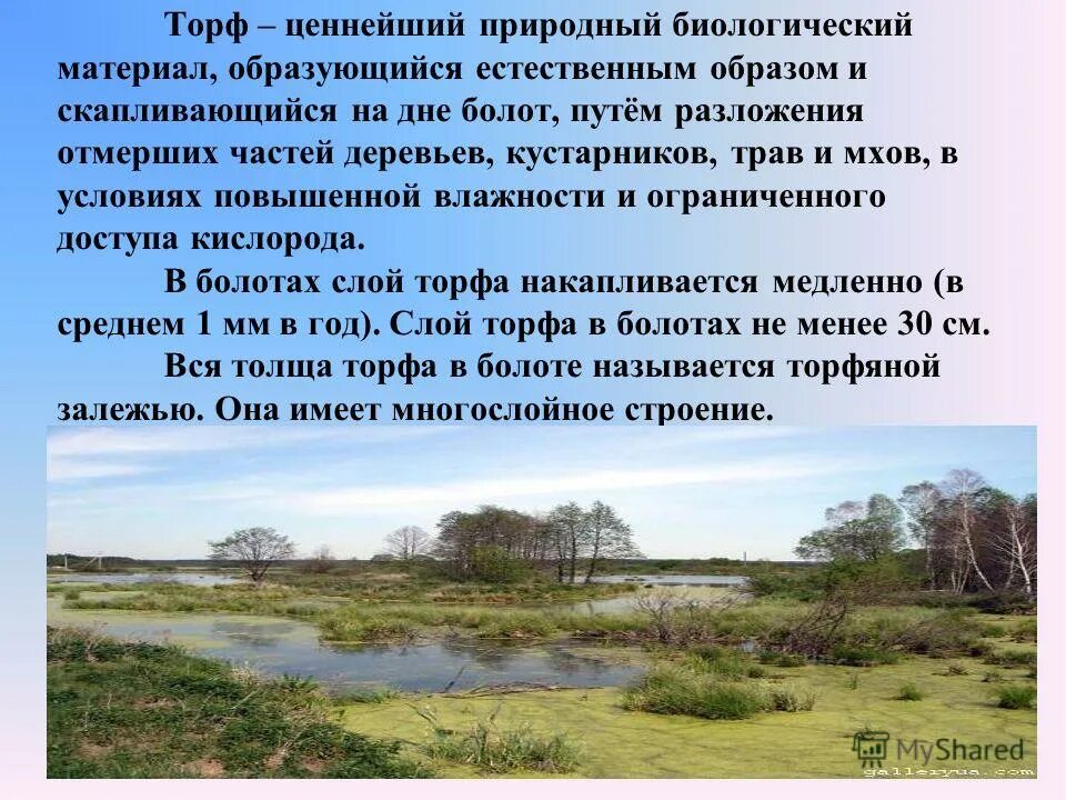 День сталкера. Топи даты. Топи халта. Трясина. Топи даты.