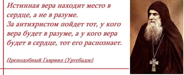 Речь истинно верующего. Антихрист цитаты. Истина веры. Отец ничего не объяснил