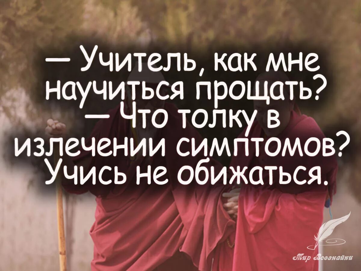 Друзья мои что ж толку в этом. Афоризмы о прощении. Простить человека цитаты. Цитаты о прощении людей. Афоризмы про обиду и прощение.