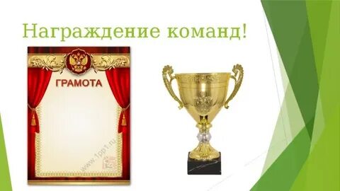 Награждение команд