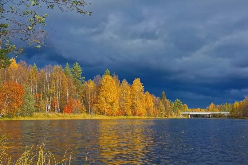 Солнечный сортавала. Озеро Пелусозеро Карелия. Осень Золотая Карелия Сегежа. Осенняя река Карелия. Озеро Пелусозеро Карелия.осень.