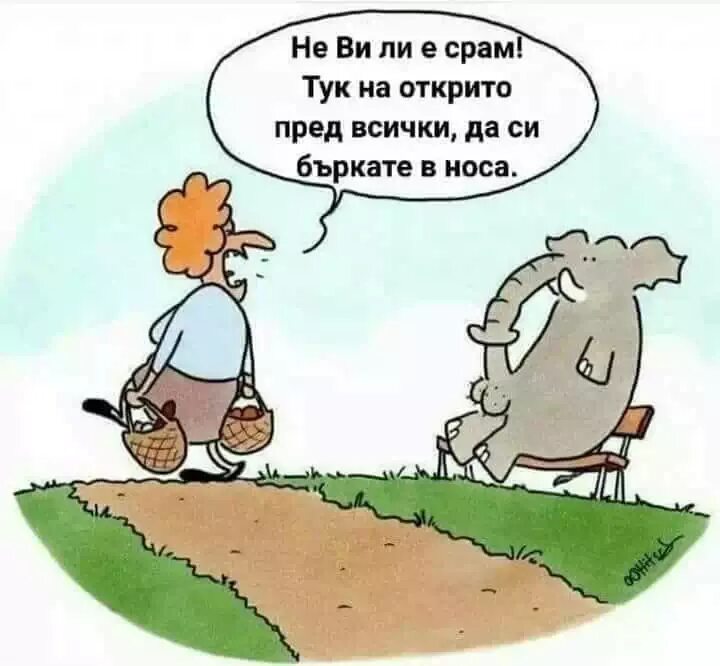 Срам значение. Срам. срам приколы. юмор стыд и срам. срам устаревшее.