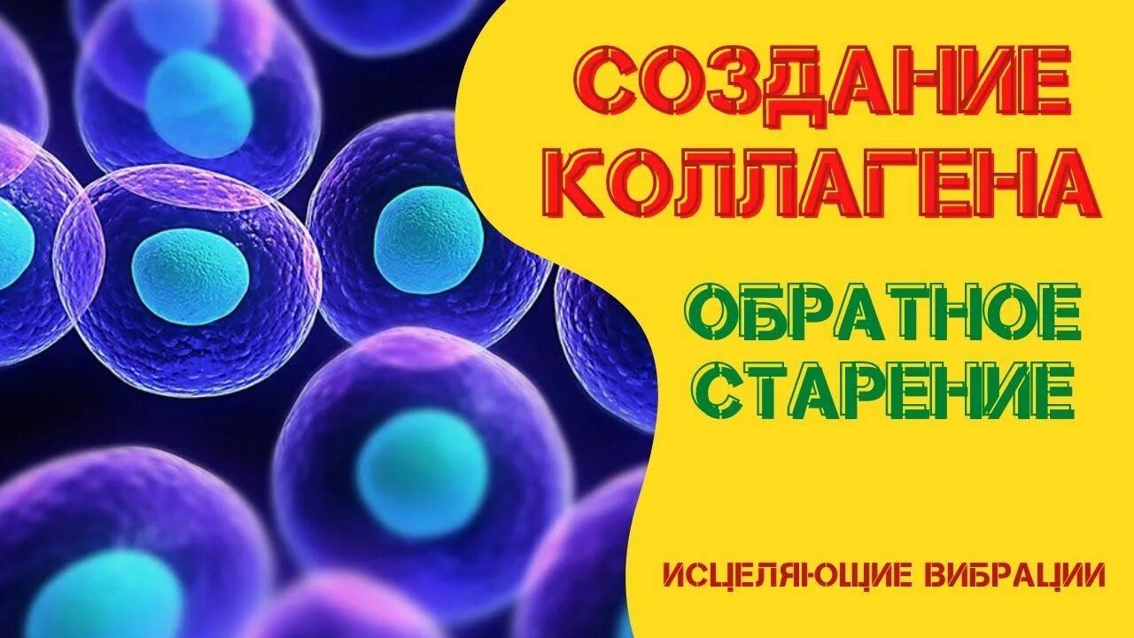 Клеточное исцеление. Исцеление на клеточном уровне. Мощная регенерация музыка. Матрица мощное исцеление костей и мышц