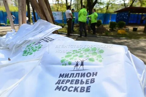 1 миллион деревьев