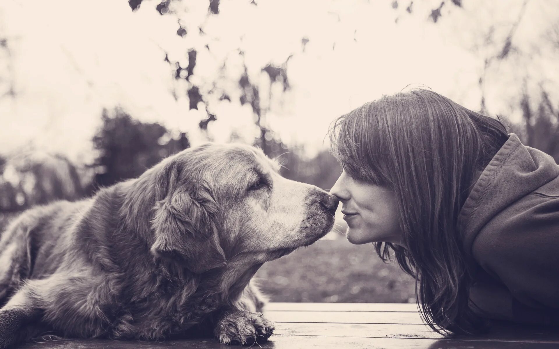 Собака любит девочка. Девушка с собакой. Девушка с собакой фотосессия. Собака друг человека. Девушка с собакой друзья.