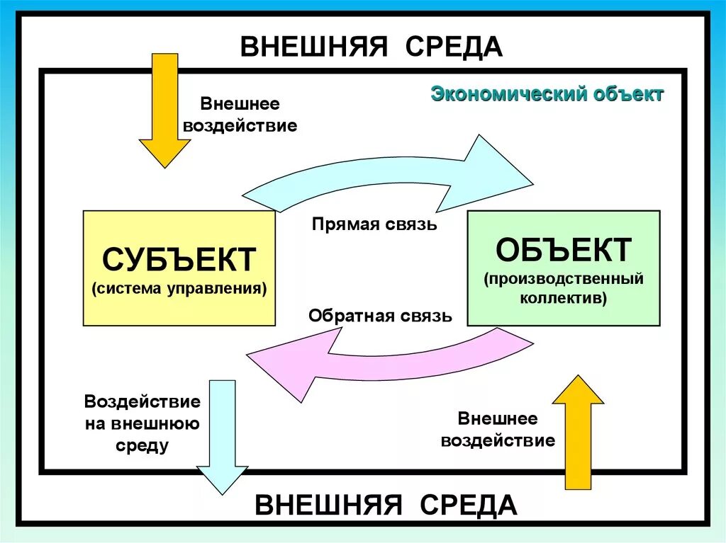 Внешняя среда. Взаимосвязь субъекта и объекта. Воздействие внешней среды. Субъекты и объекты внешней среды. Прямые и обратные связи управления