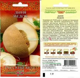 Дыня медок