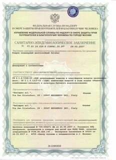 Оформление сэс