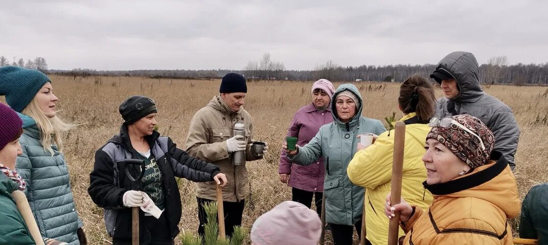 Высадка деревьев тверской завод. Погода осиново зеленодольский. Спорткомплекс осиново. Погода осиново зеленодольский. Село осиново татарстан.