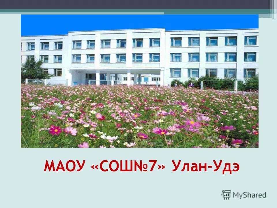 школа номер 46 улан-удэ. сош 7 улан удэ. сош 7 улан удэ. школа 19 улан-удэ официальный сайт. 46 школа улан-удэ.