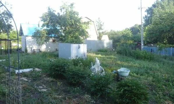 Дачи снт нефтяник. Авито снт нефтяник. Авито снт нефтяник. Авито снт нефтяник. Снт "нефтяник", д.
