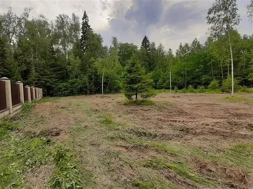 Участок примыкает к лесу. Противопожарные минерализованные полосы шириной не менее 10 метров. Дмитровские дачи. Участок примыкает к лесу. Земельный участок.