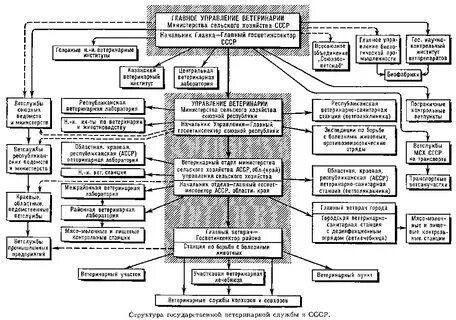Органы управления ветеринарии
