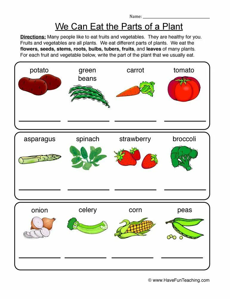 Parts of the Plant Worksheets. Растения Worksheets for Kids. Plants Vocabulary for Kids. Growing Plants Worksheets. Plants task