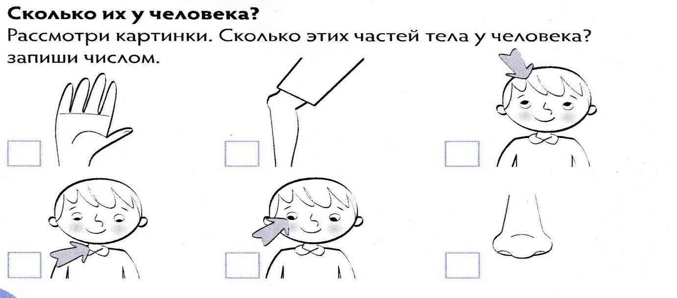 Ориентировка в собственном теле. Логопедический урок человек части тела. ориентировка в частях тела человека. ориентировка в схеме собственного тела. ориентировка в частях тела задания.