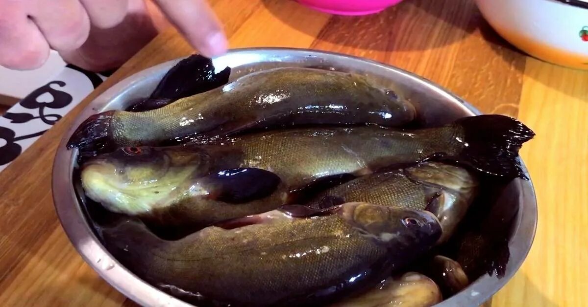 Как приготовить линя вкусно на сковороде пожарить