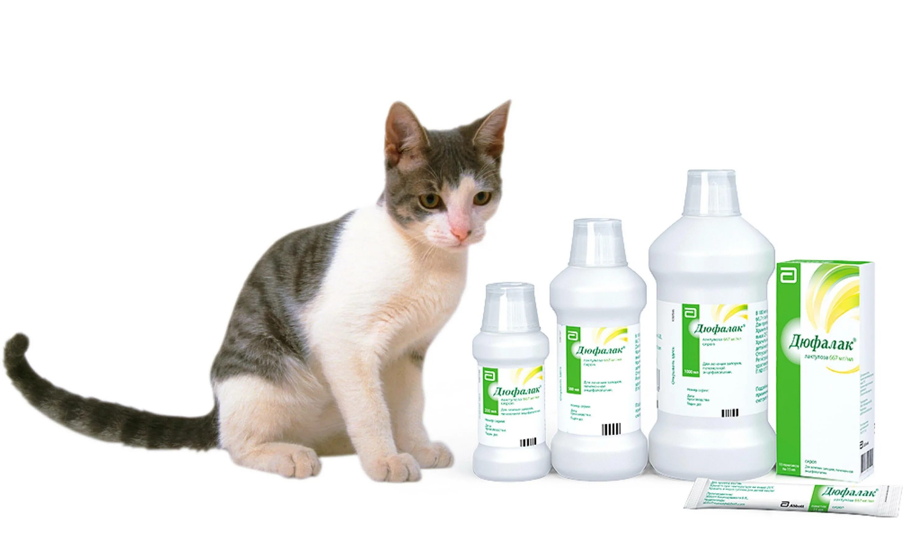 Растительное масло котам. Лекарство от запора для кошек. Таблетки от запора для кошек. Дюфалак для кошек. Слабительные для животных.