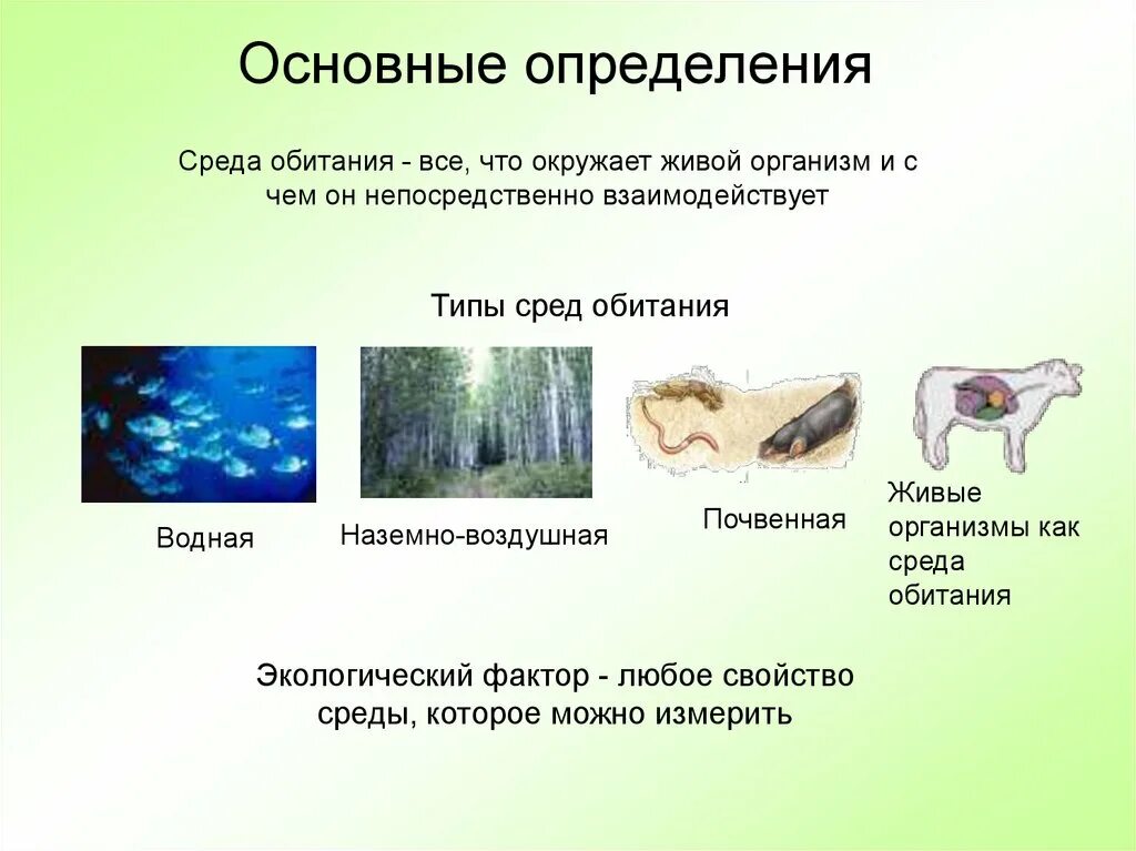 Факторы живого организма основные. Среды обитания живых организмов. Среда обитания определение и виды. Основные типы среды обитания. Организм и окружающая среда.