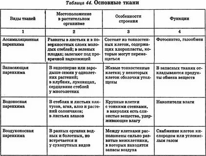 Биология 6 класс таблица ткани растений строение