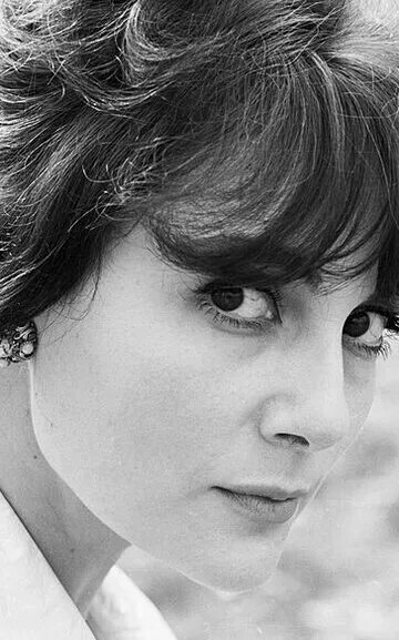 Лоранс арне фигура. Лоранс линьер. Лоранс ио-соловьева. Лоранс одежда. Лоранс линьер.