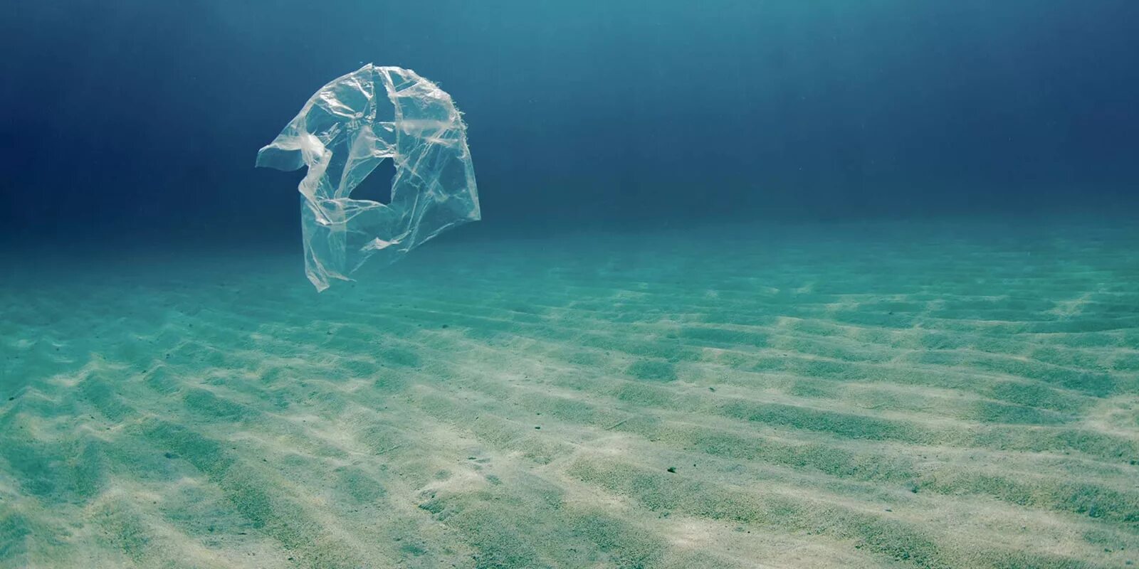 Пластиковый океан 2016. Океан внутри. Пластик в океане.