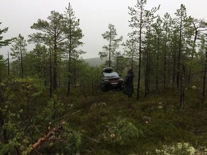 Погода в вирандозере от метеостанции