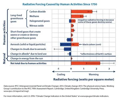 Human activity causes global warming