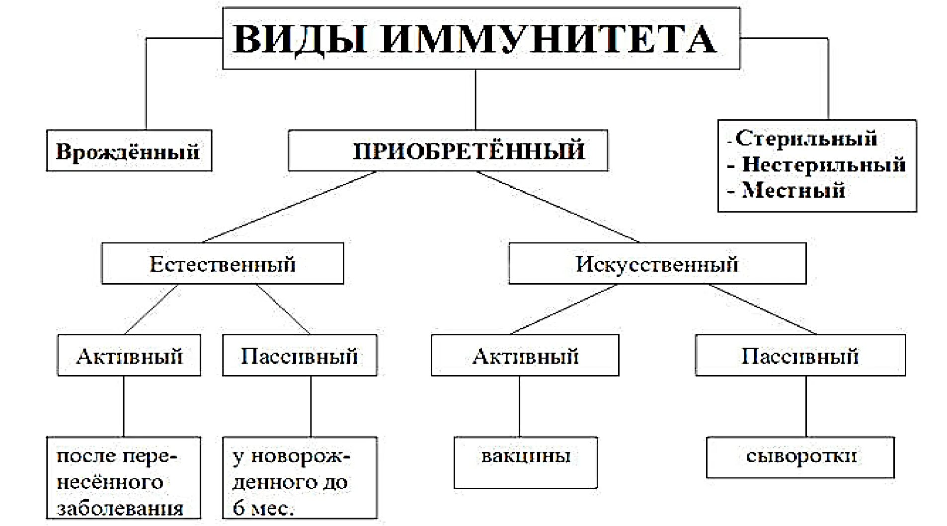 Что значит иммунная. Типы иммунитета иммунология. Классификация иммунитета схема. Понятие об иммунитете виды иммунитета микробиология. Виды иммунитета микробиология.