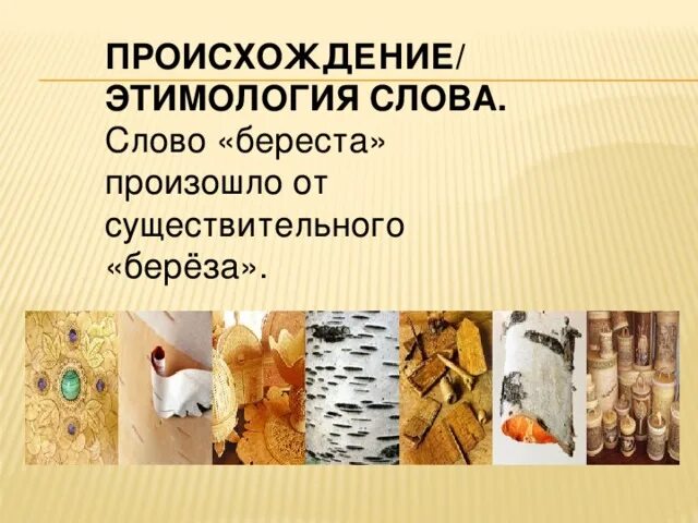 Лексическое значение береста. Береста этимология. слово берёста. текст про бересту. что такое береста кратко.