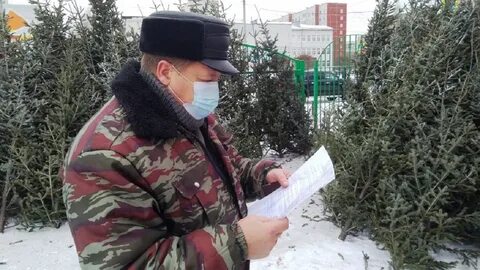 Управление россельхознадзора по республике тыва
