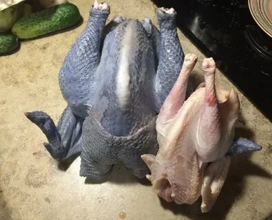 Синие мясо курицы