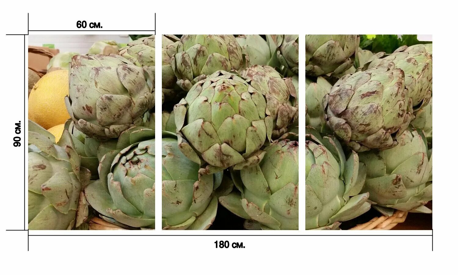 Artichokes, Vegetables green close-up free image download